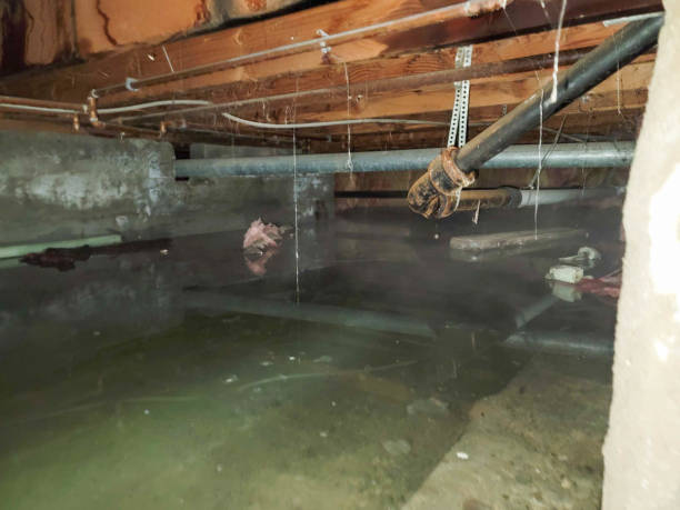 Best Water damage restoration near me  in Mystic Island, NJ