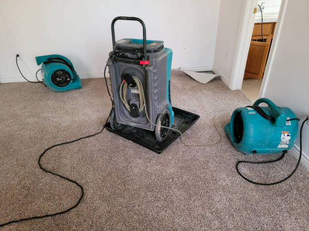 Best Water damage contractors near me  in Mystic Island, NJ