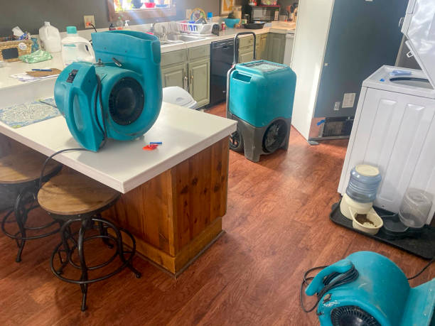 Best Flood damage cleanup  in Mystic Island, NJ