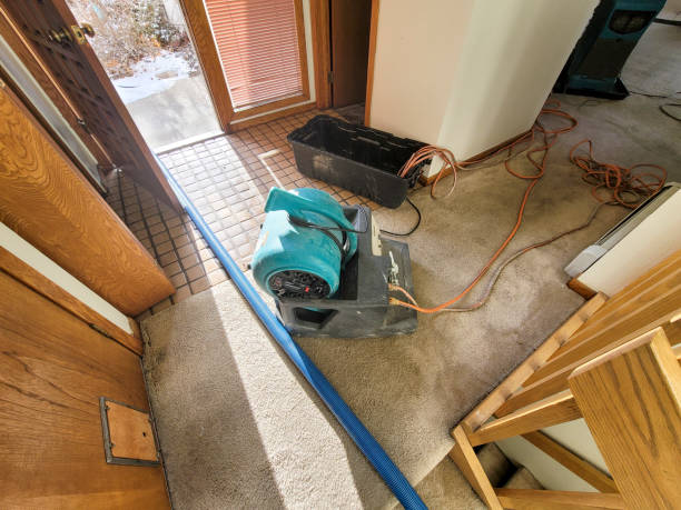 Best Water damage restoration experts  in Mystic Island, NJ