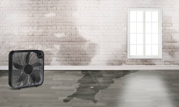 Mystic Island, NJ Water damage restoration Company