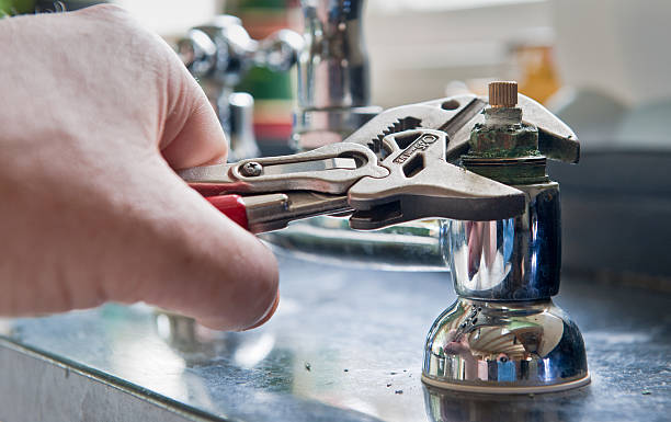 Best Water damage cleanup near me  in Mystic Island, NJ
