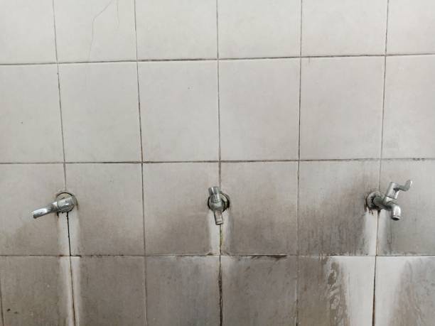 Best Basement water damage restoration  in Mystic Island, NJ