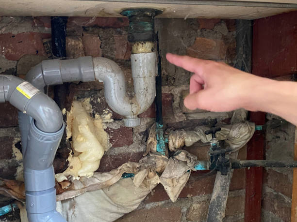 Best Water damage mitigation services  in Mystic Island, NJ